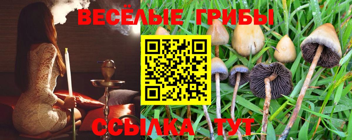Галлюциногенные грибы ЛСД Богородск